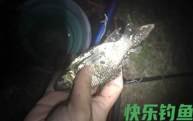 野钓技巧及方法全攻略(图6)