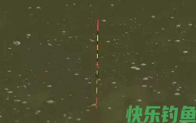 半水调漂是带钩还是不带钩？(图1)