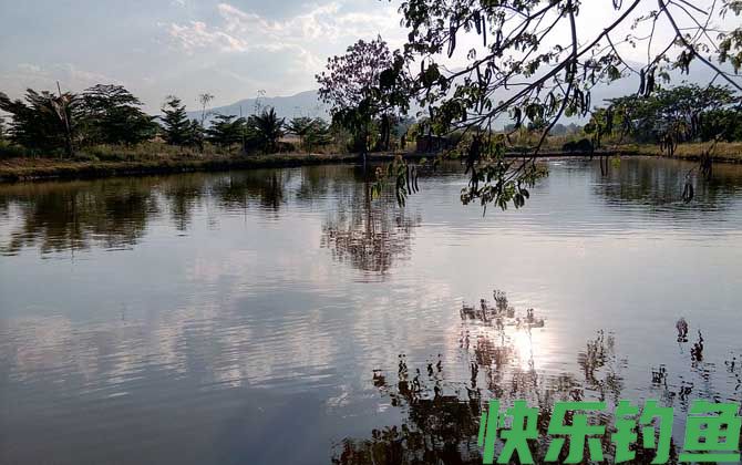 夏季钓鱼实用技巧大全(图4)