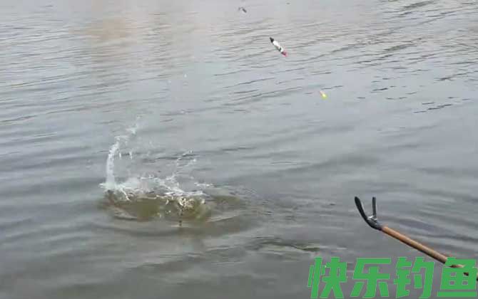 水库钓鱼一定要钓底吗？(图3)