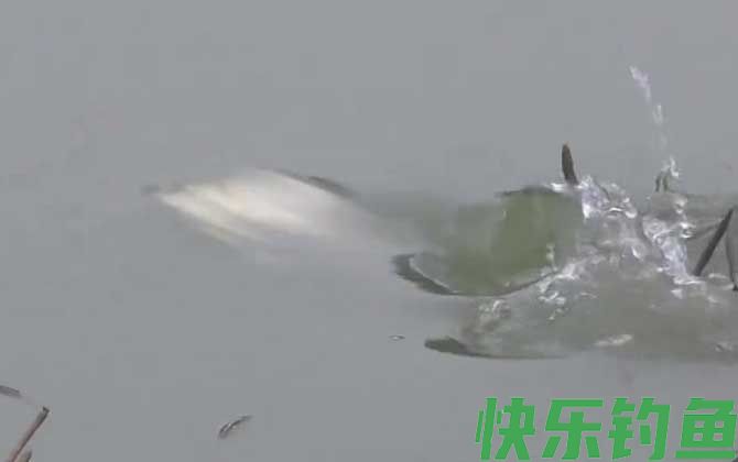 冬季钓鱼在上风还是下风？(图2)