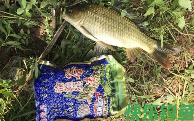 野钓小鱼闹窝怎么办？(图1)