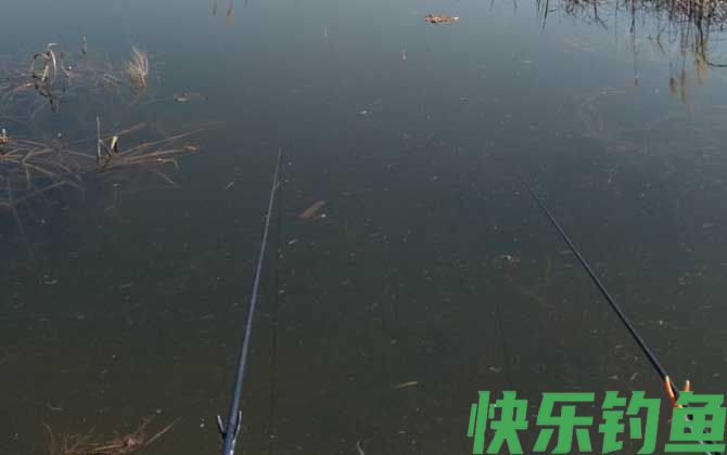 春季钓鱼怎样避开小杂鱼？(图1)