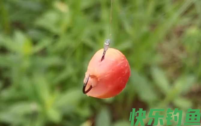野钓通杀饵料哪款最好？(图2)