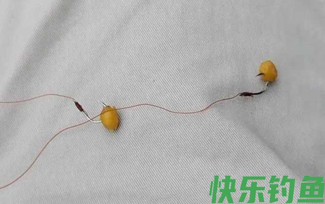 野钓通杀饵料哪款最好？(图4)