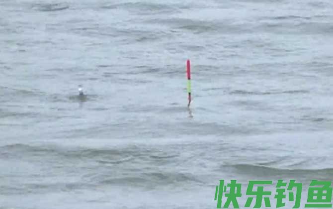 滑铅钓法的优点和缺点(图2)