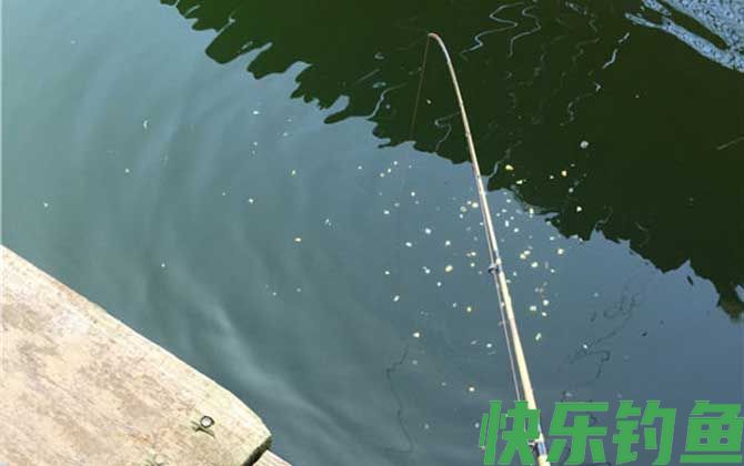 筏钓正确钓法及注意事项(图4)