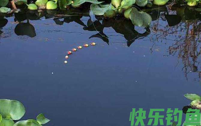 七星漂漂相大全及提竿技巧(图4)