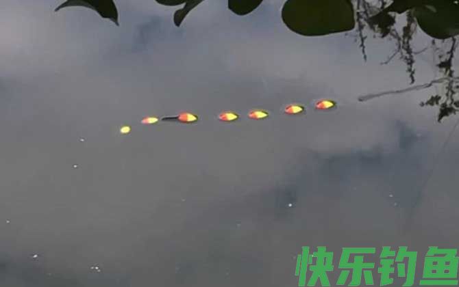 七星漂漂相大全及提竿技巧(图3)