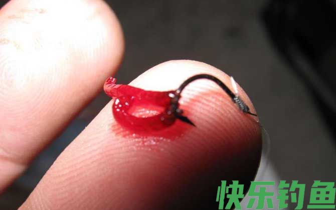 为什么红虫不能用手碰？