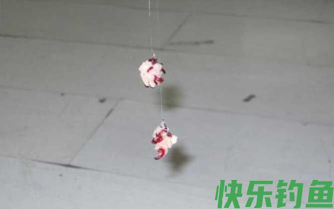 十二月份钓鱼用什么饵料？