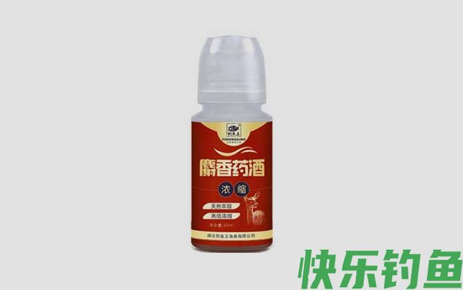 冬天钓鲤鱼用什么小药？