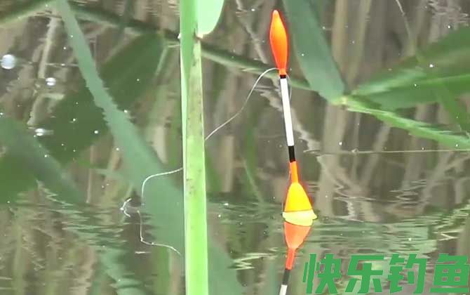 秋季钓鱼的技巧和方法