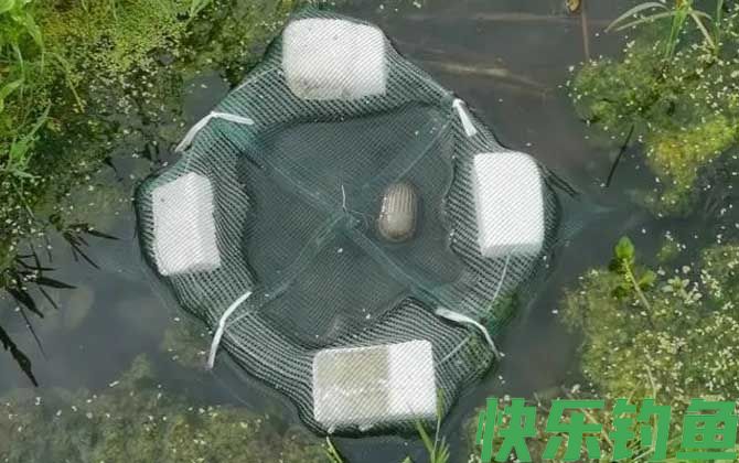 地笼捕鱼网放什么饵料？(图2)