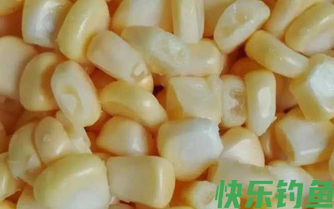 泡嫩玉米钓鲤鱼草鱼配方大全(图1)