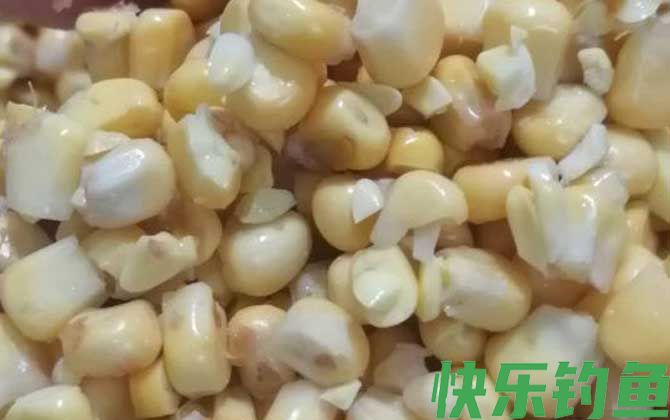 泡嫩玉米钓鲤鱼草鱼配方大全(图2)