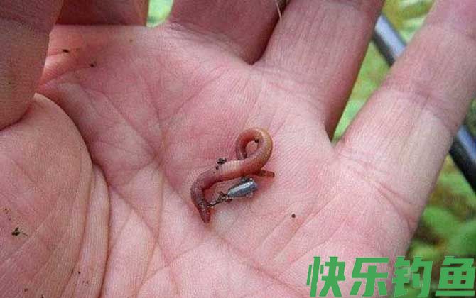 河边钓鱼最好的饵料是哪一款？(图1)