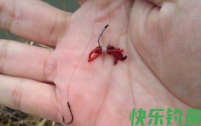 夏季钓鱼用什么饵料？(图3)