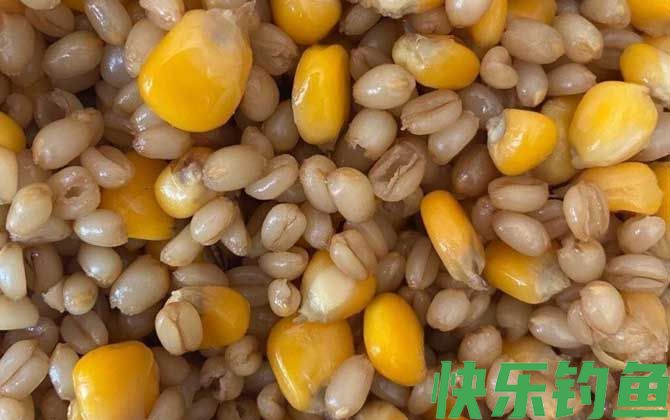 夏季钓鱼用什么饵料？(图4)