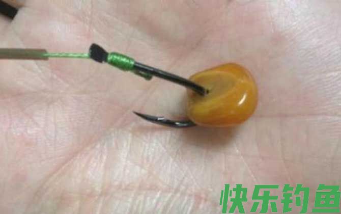 钓鲫鱼能用玉米粒吗？(图4)