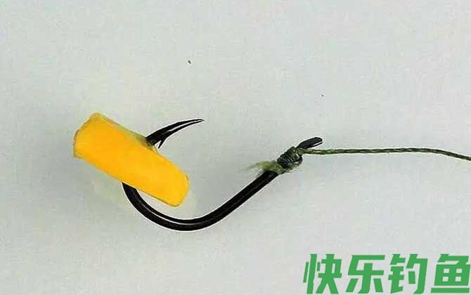 钓鲫鱼能用玉米粒吗？(图3)