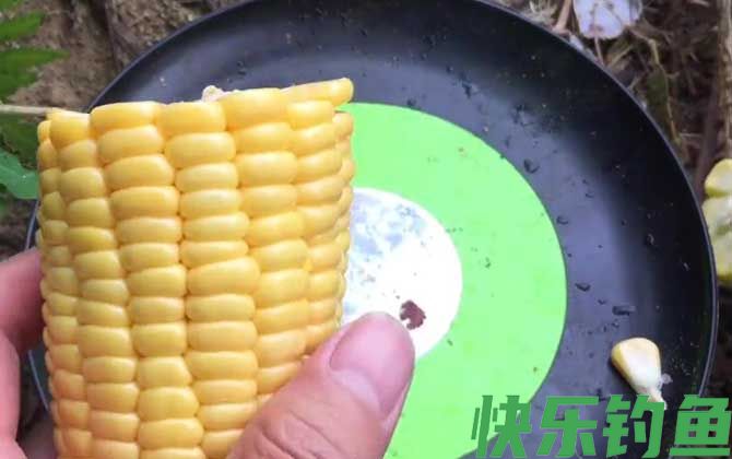 新鲜玉米钓鱼效果好吗？(图3)