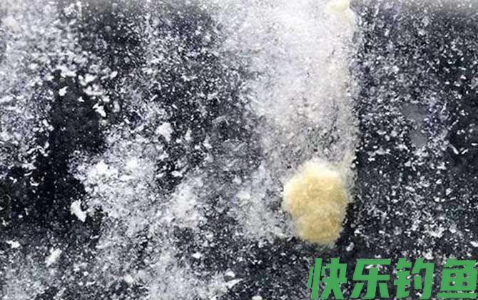 散炮加轻麸还是雪花粉？(图2)