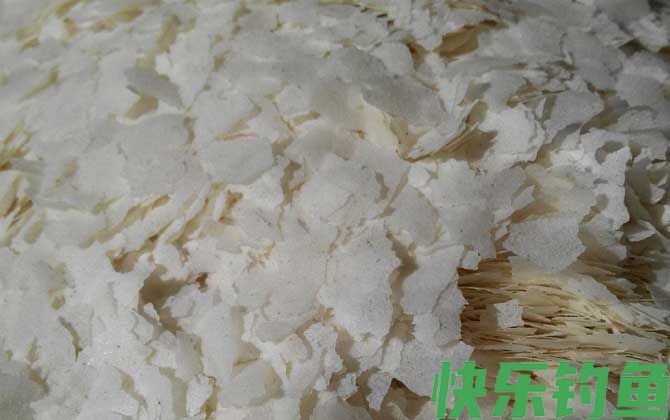 散炮加轻麸还是雪花粉？(图4)