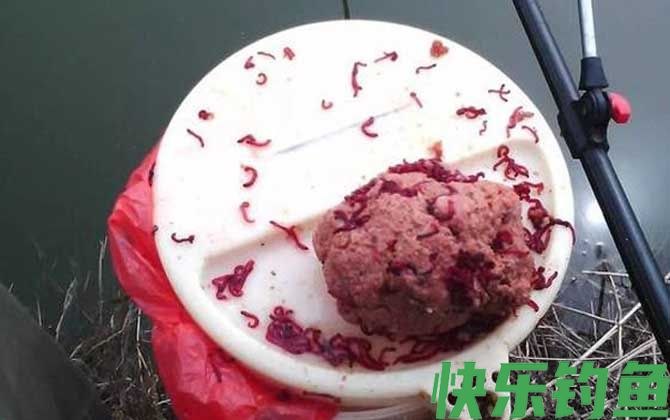 红虫钓鲫鱼什么季节最合适？(图3)