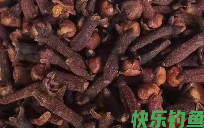 钓鱼为什么禁止用丁香？(图1)