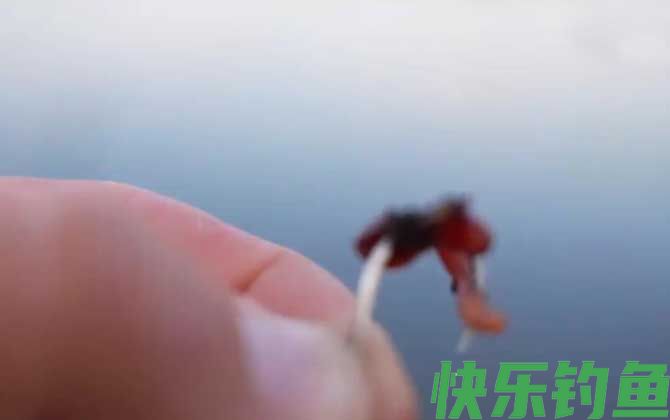 钓鱼大蚯蚓好还是小蚯蚓好？(图4)
