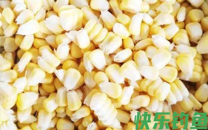 嫩玉米怎么泡制好钓鱼？(图1)
