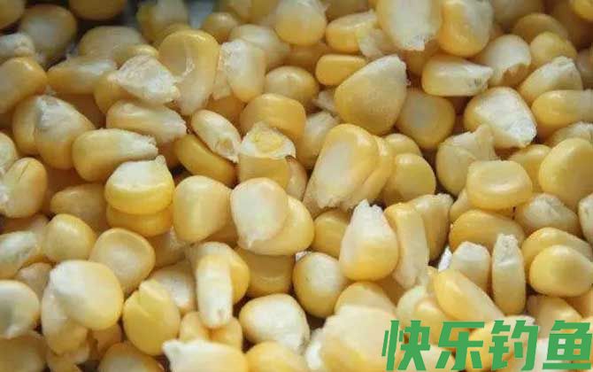 嫩玉米怎么泡制好钓鱼？(图3)