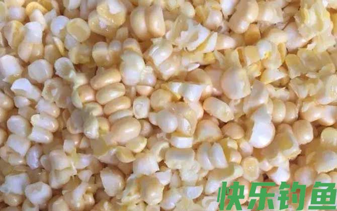 嫩玉米怎么泡制好钓鱼？(图2)