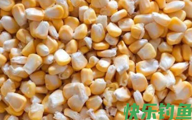 嫩玉米怎么泡制好钓鱼？(图5)