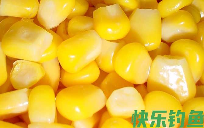 嫩玉米怎么泡制好钓鱼？(图4)