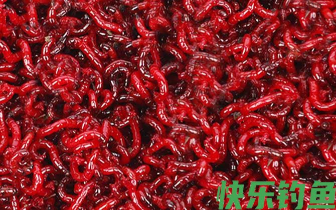 红虫保存温度多少合适？(图2)