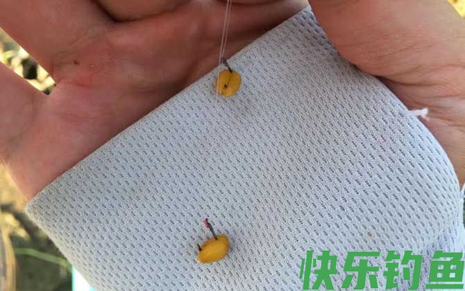 常用的天然钓鱼饵料有哪些？(图4)