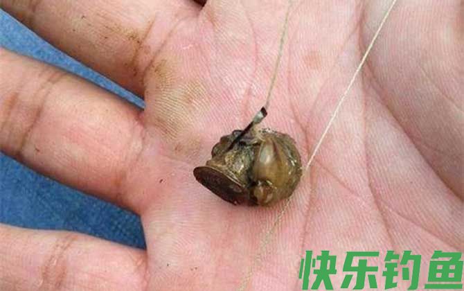 常用的天然钓鱼饵料有哪些？(图6)