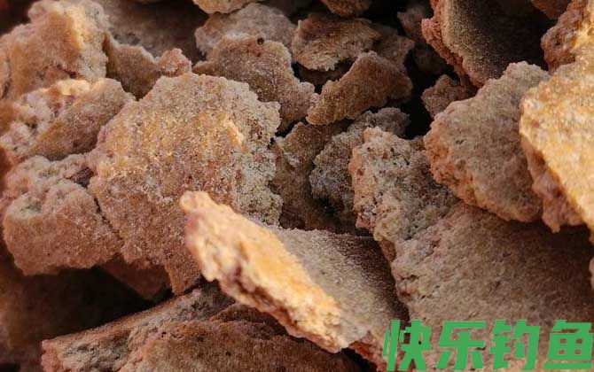 钓鱼诱饵用什么最好？(图3)