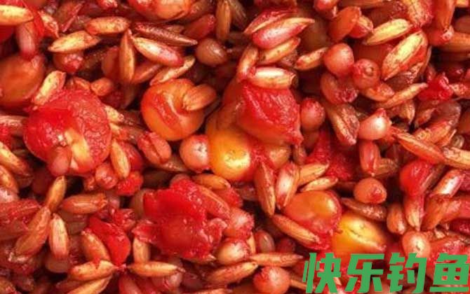 夏季钓鱼窝料配方大全(图4)