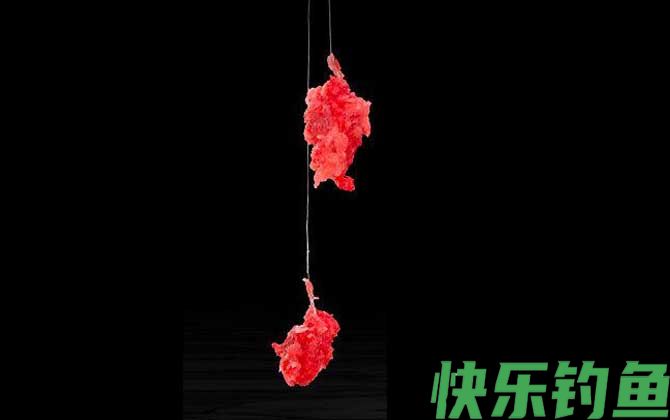 夏季钓鱼用腥味还是香味饵料？(图3)