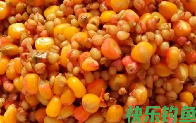 嫩玉米饵料泡制配方大全(图3)