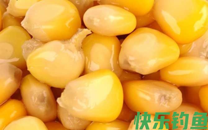 嫩玉米饵料泡制配方大全(图5)