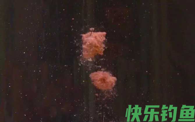 拉饵开饵技巧及注意事项(图3)