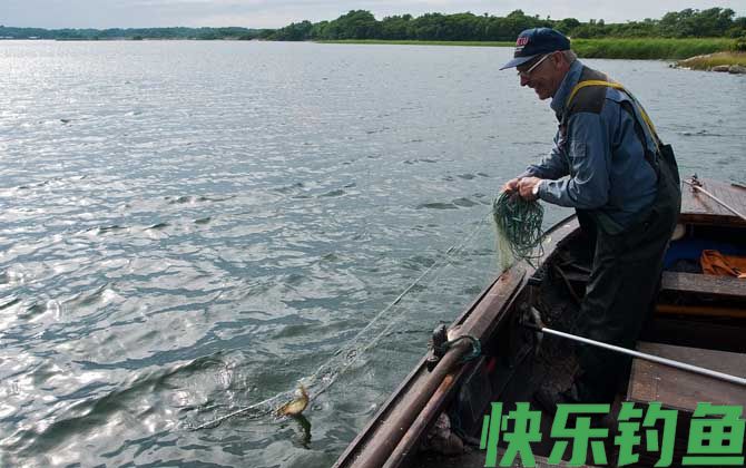 筏钓用什么饵料？(图1)