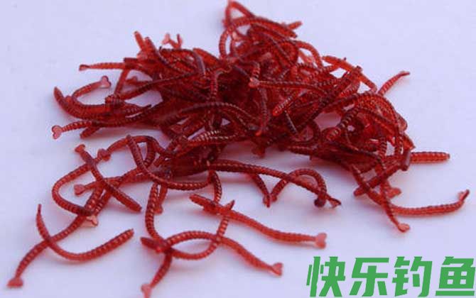 红虫假饵钓鱼效果好不好？(图4)