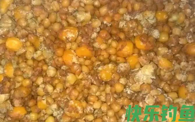 钓草鱼老玉米怎么泡制？(图1)