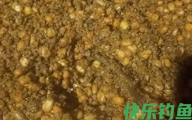 钓草鱼老玉米怎么泡制？(图2)