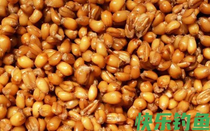 钓草鱼老玉米怎么泡制？(图4)